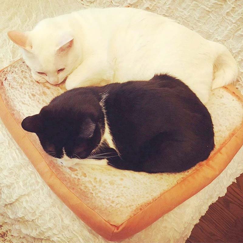 Dailypets Toast Plush Cat Bed – Cozy Square Sleeping Mat