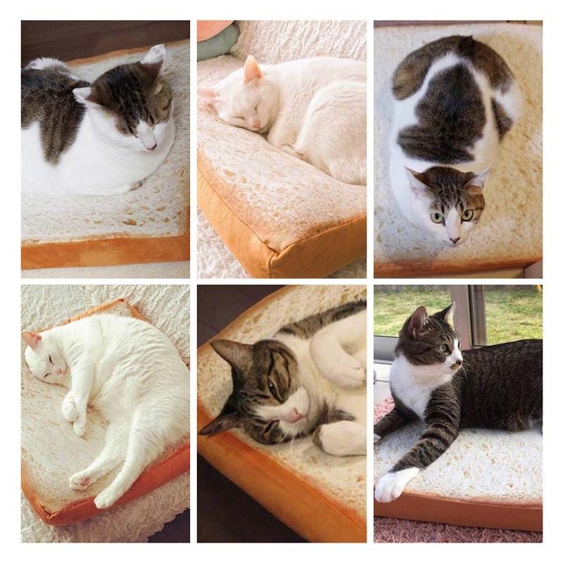 Dailypets Toast Plush Cat Bed – Cozy Square Sleeping Mat