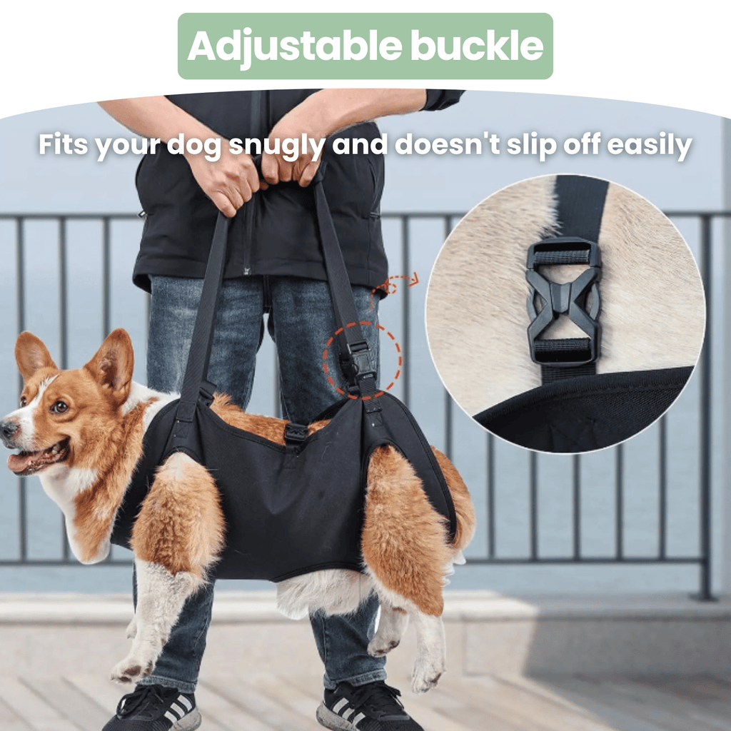 Dailypets Adjustable Dog Support Sling for Walking Assistance and Everyday Mobility
