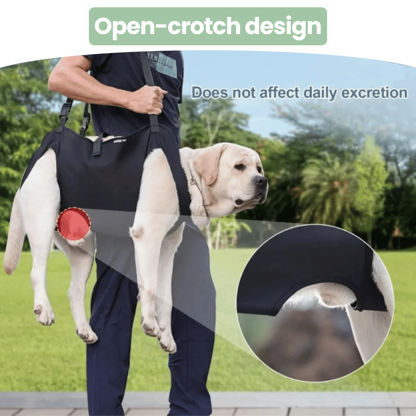 Dailypets Adjustable Dog Support Sling for Walking Assistance and Everyday Mobility