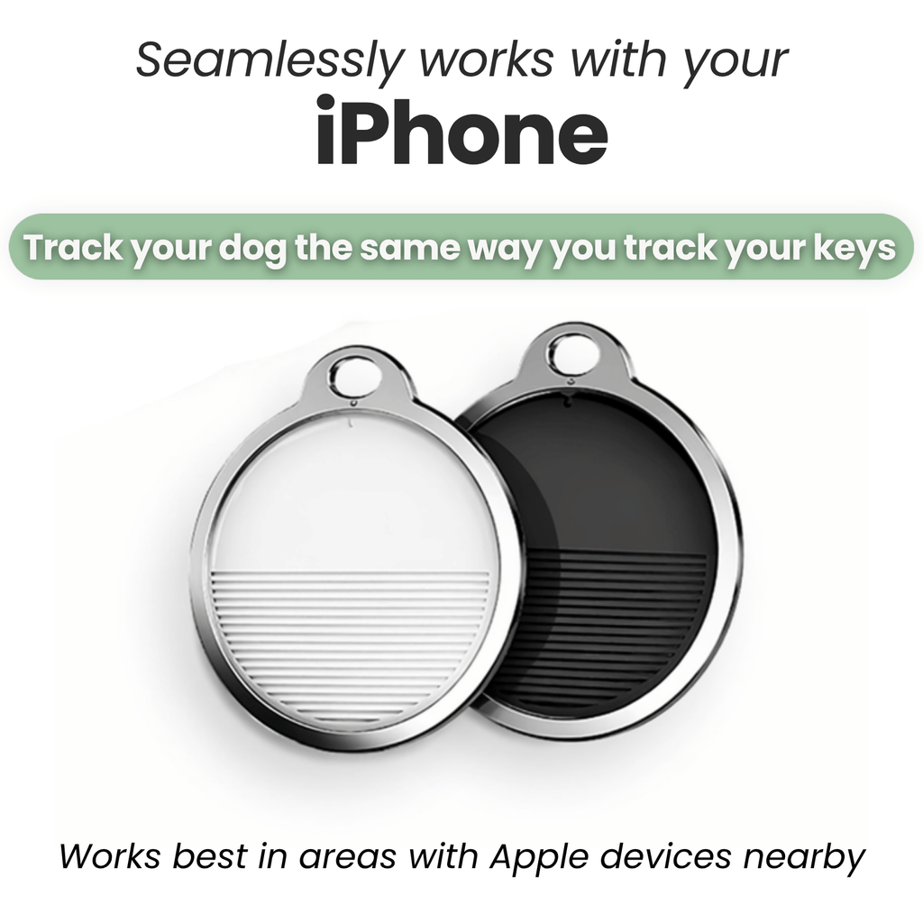 Dailypets Lightweight Cat Tracker Set with Apple Find My Support and Safety Collar