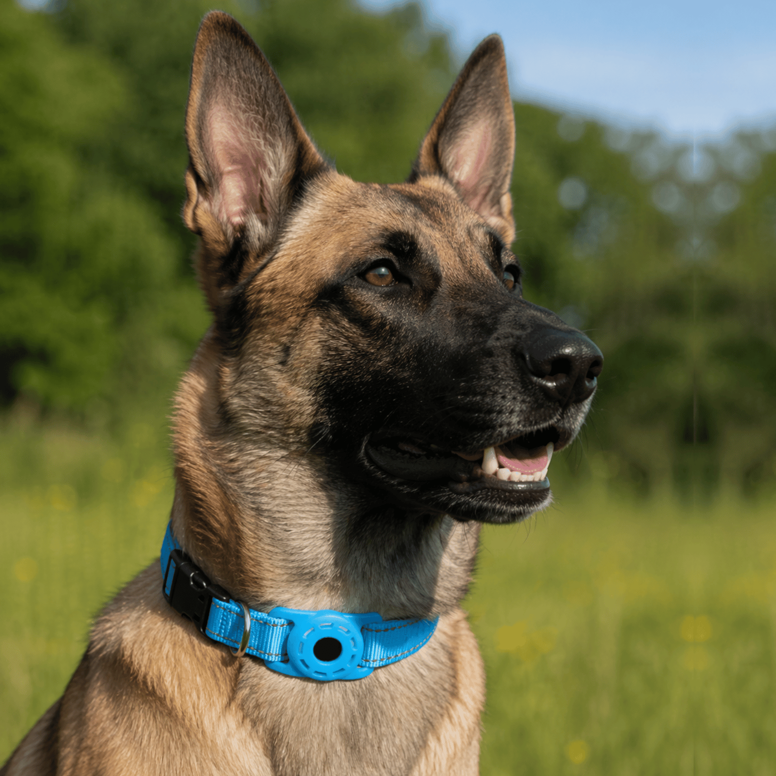 Dailypets SmartTag Pet Collar Set with Apple Find My Compatibility and Reflective Design