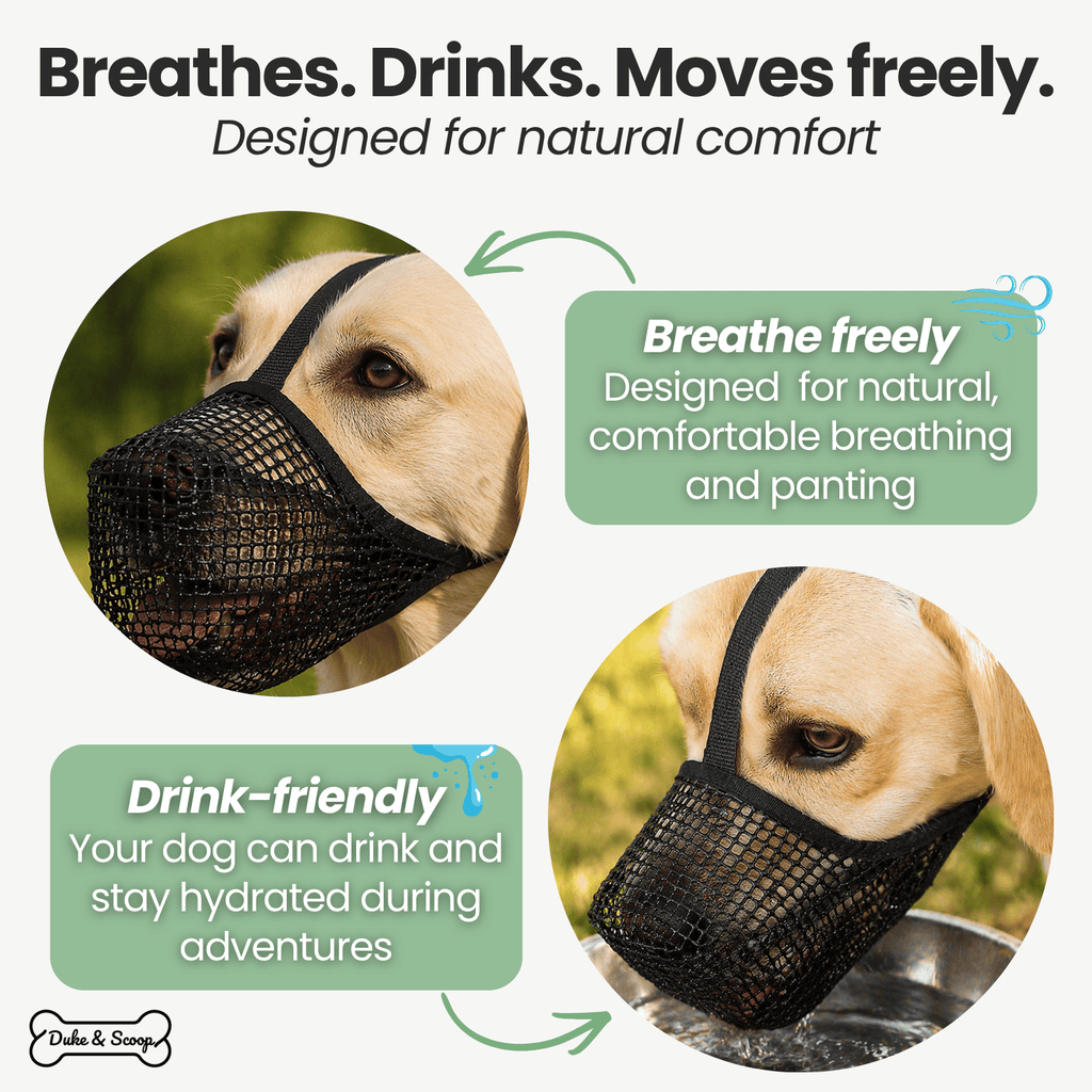 Dailypets Breathable Soft Dog Muzzle with Adjustable Mesh Fit for Everyday Comfort