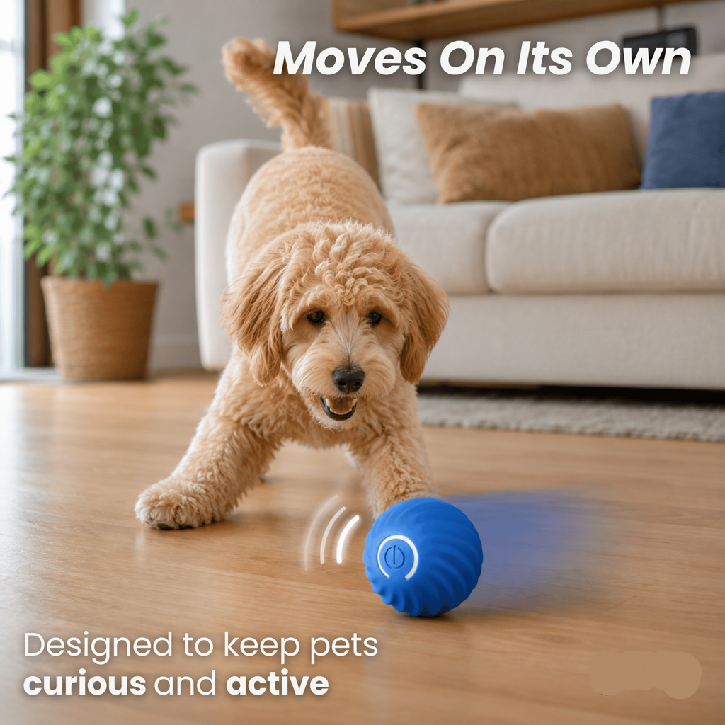 Dailypets Electric Chase Ball for Pets with Unpredictable Movement and Easy Grip