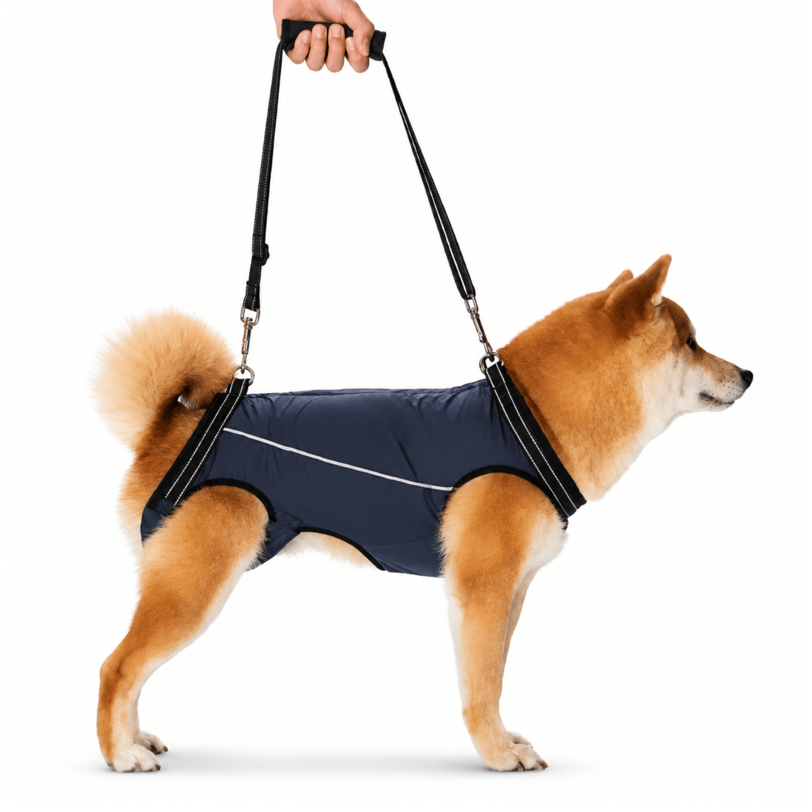 Dailypets Adjustable Dog Support Sling for Comfortable Mobility and Everyday Assistance