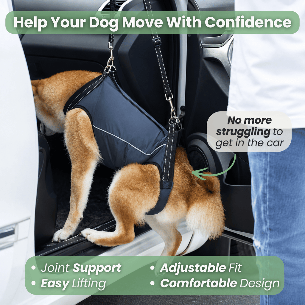 Dailypets Adjustable Dog Support Sling for Comfortable Mobility and Everyday Assistance