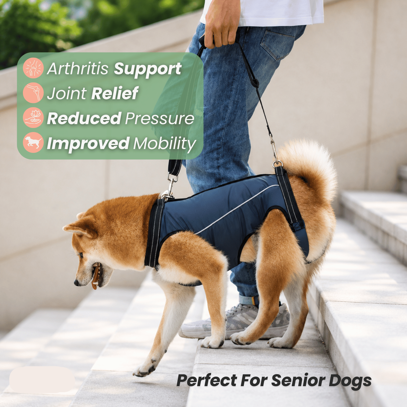 Dailypets Adjustable Dog Support Sling for Comfortable Mobility and Everyday Assistance