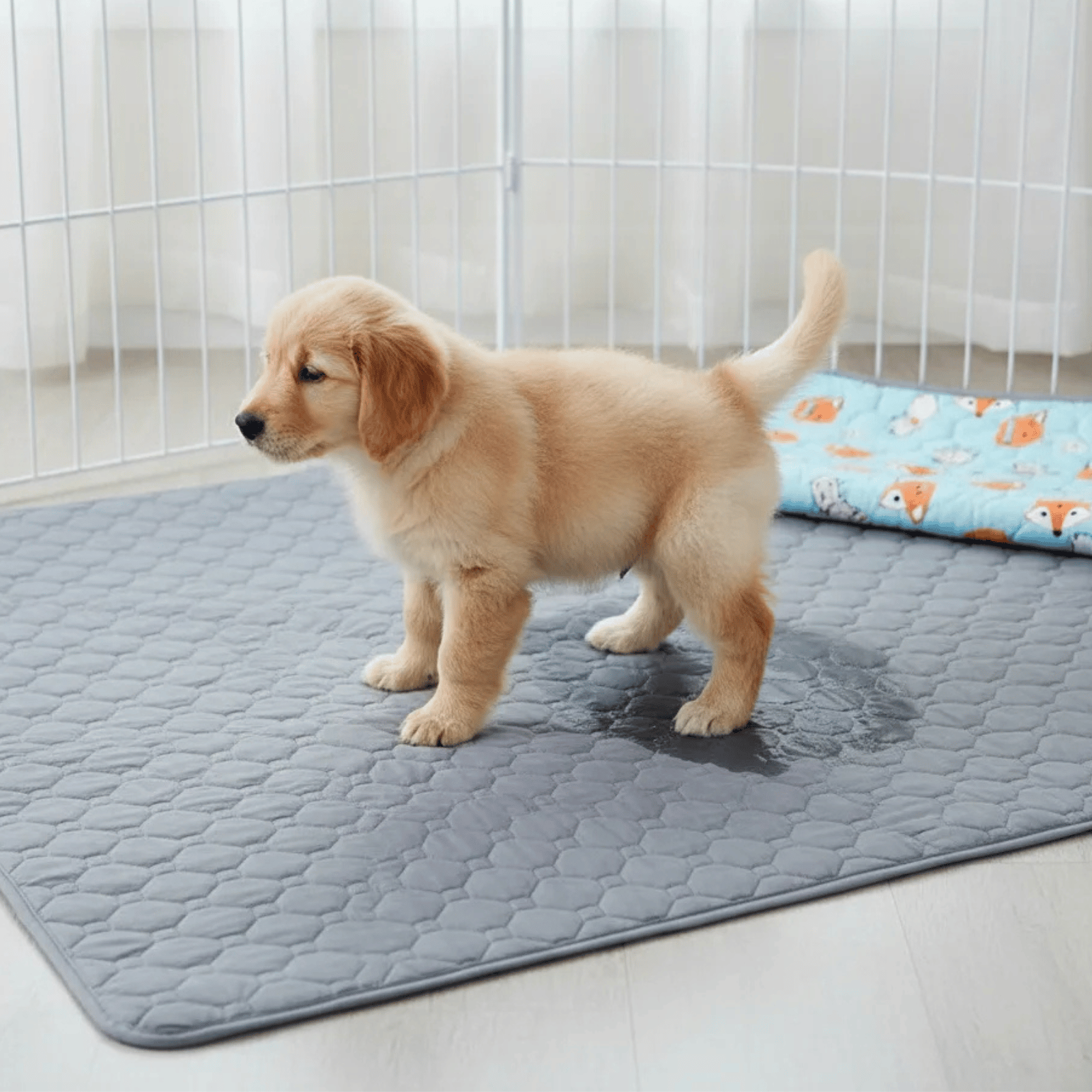 Dailypets Washable Pet Training Pad with Waterproof Base for Dogs and Puppies Daily