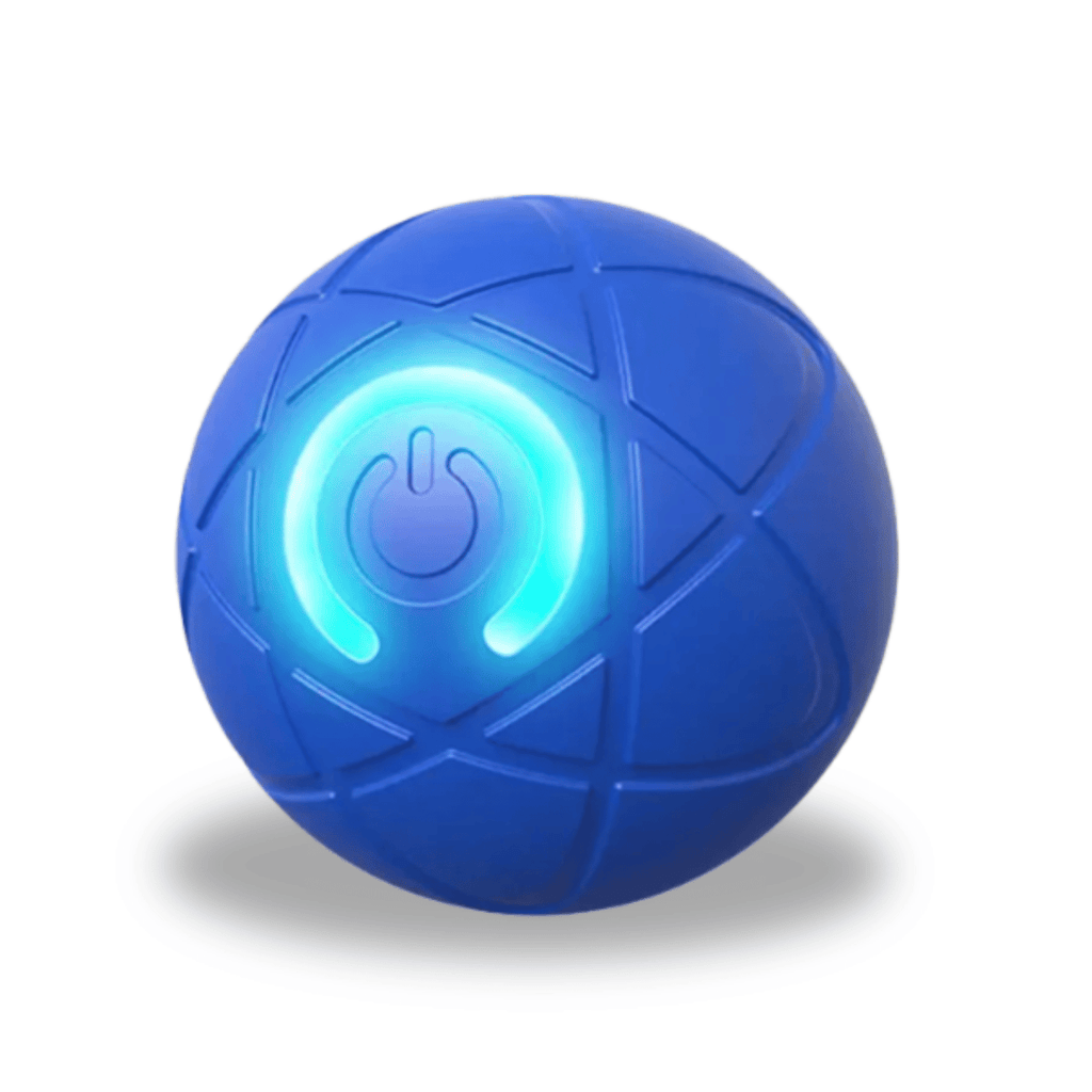 Dailypets Smart Rolling Ball for Pets with Touch Activation and Rechargeable Design