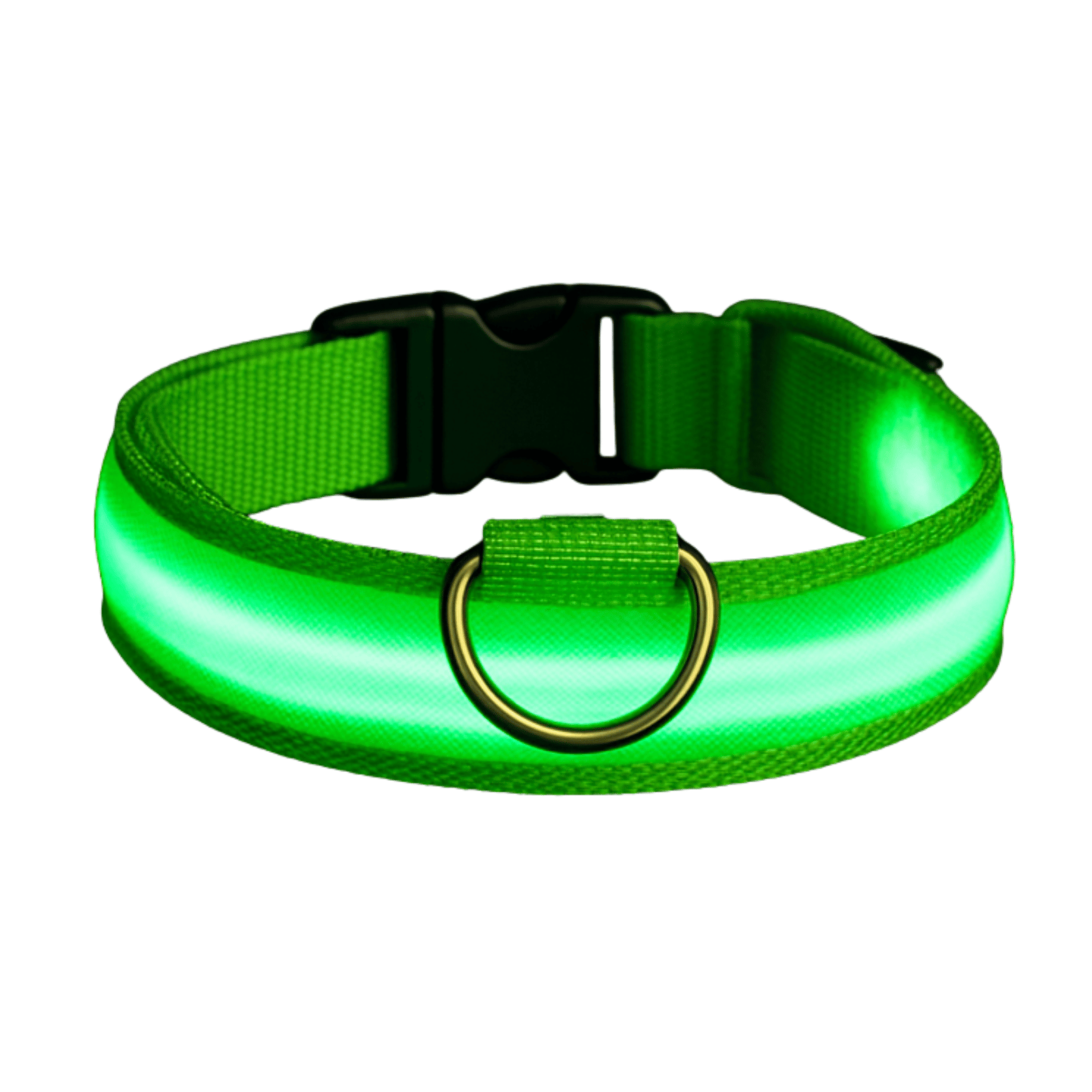 Dailypets USB Rechargeable LED Dog Collar with Adjustable Fit for Night Walks