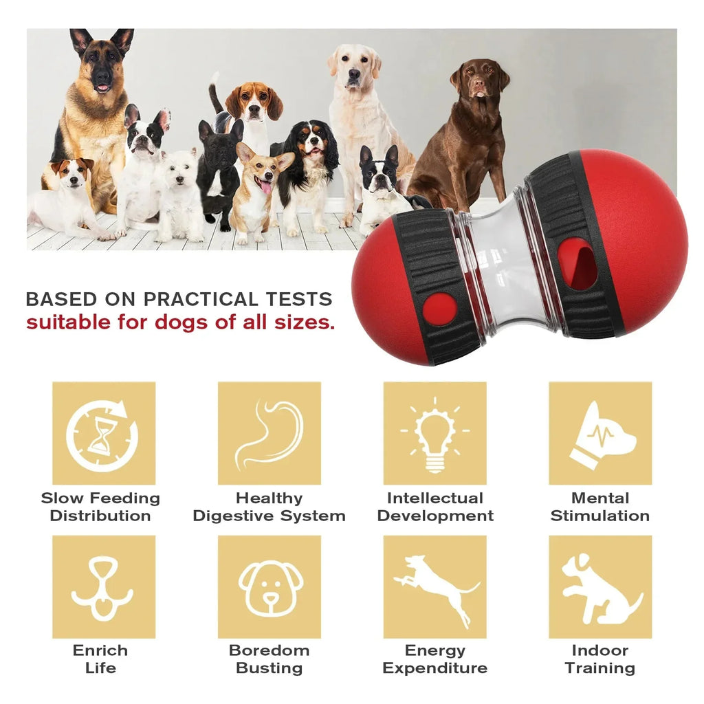 Dailypets Interactive Slow Feeder Ball for Dogs with Adjustable Treat Opening