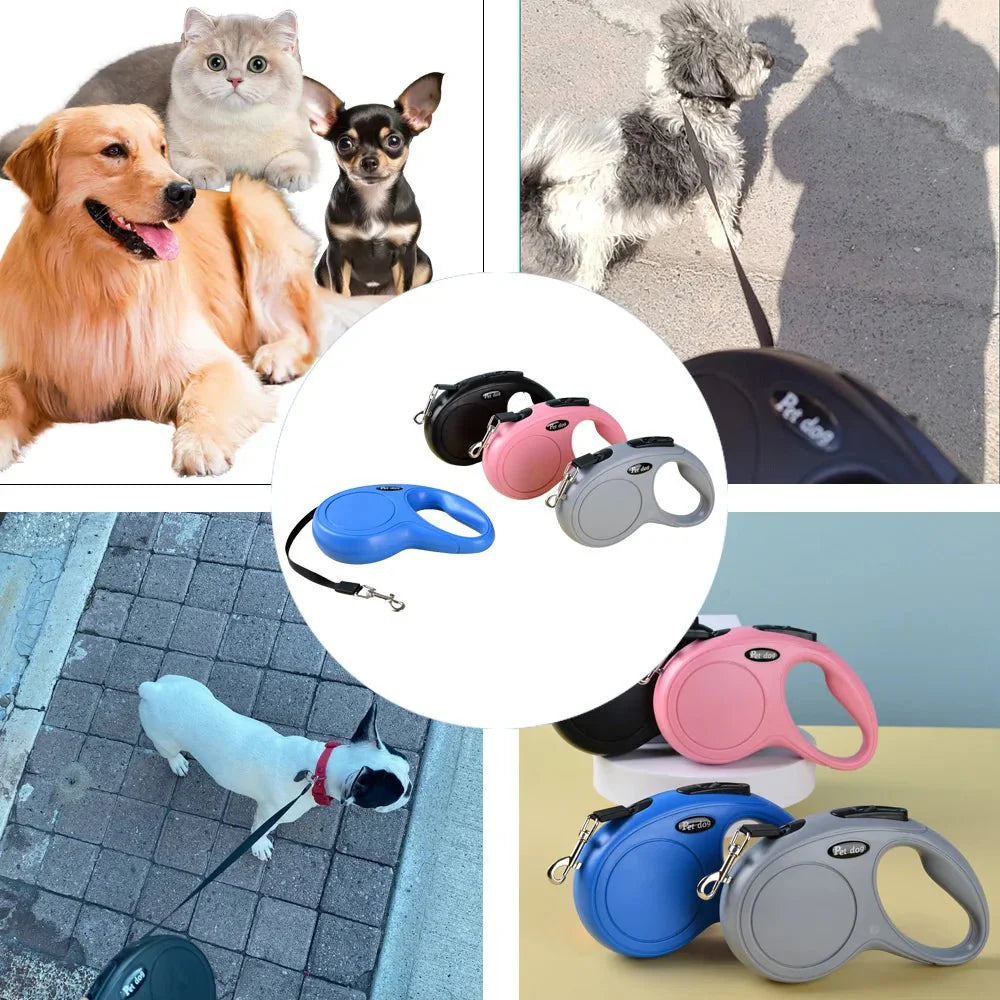Dailypets GlideControl Retractable Dog Leash with Quick-Lock Brake for Confident Walks