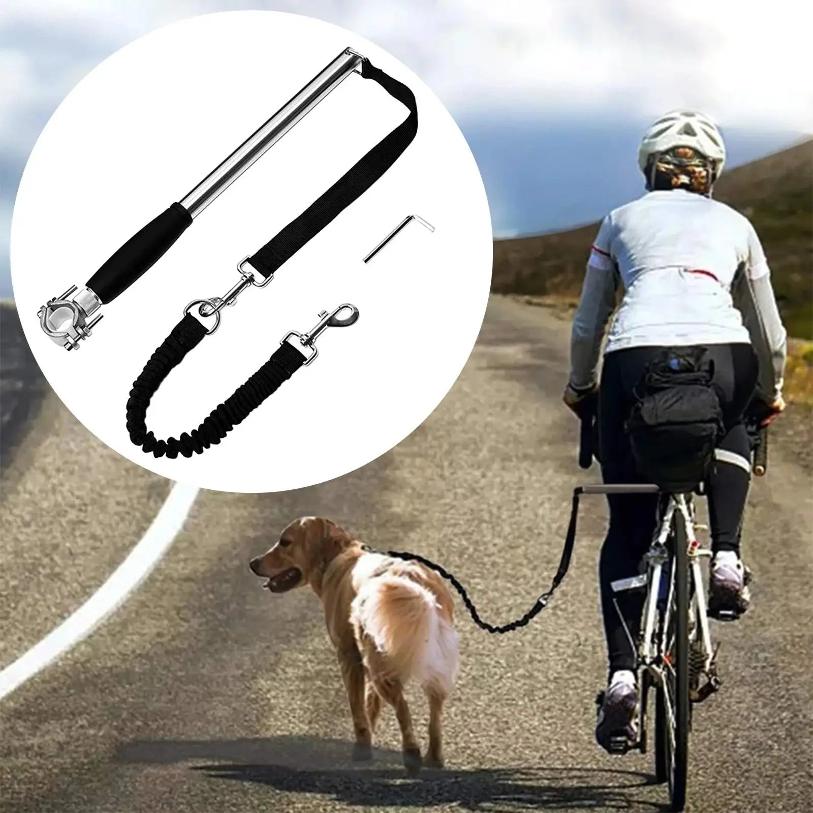 Dailypets Hands-Free Bicycle Dog Leash with Shock-Absorbing Bungee for Active Rides