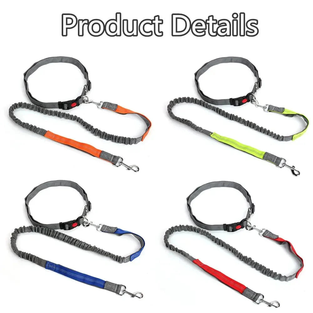 Dailypets Hands-Free Waist Dog Leash with Shock-Absorbing Bungee for Walking and Running
