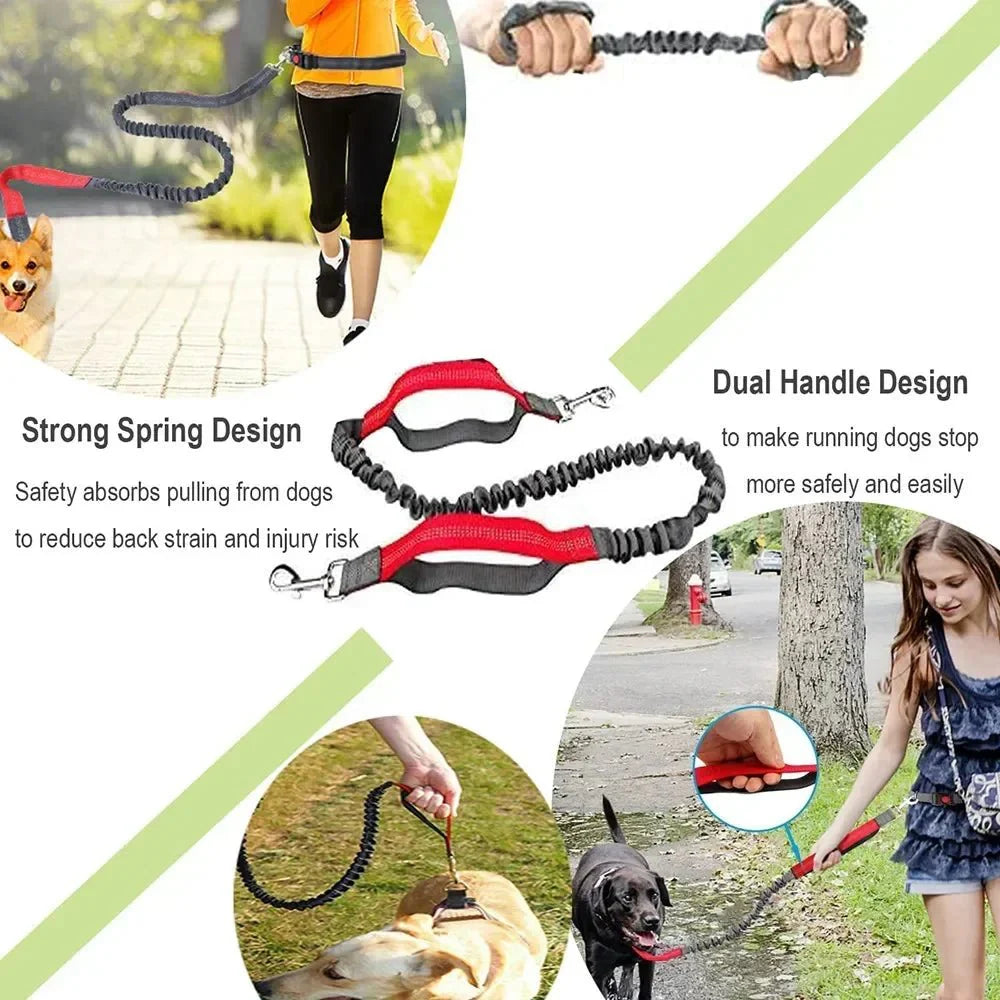 Dailypets Hands-Free Waist Dog Leash with Shock-Absorbing Bungee for Walking and Running