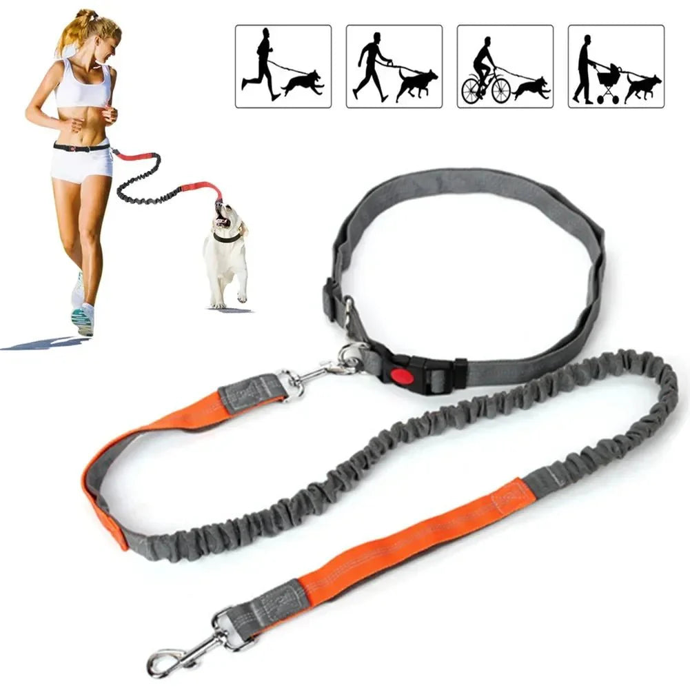 Dailypets Hands-Free Waist Dog Leash with Shock-Absorbing Bungee for Walking and Running