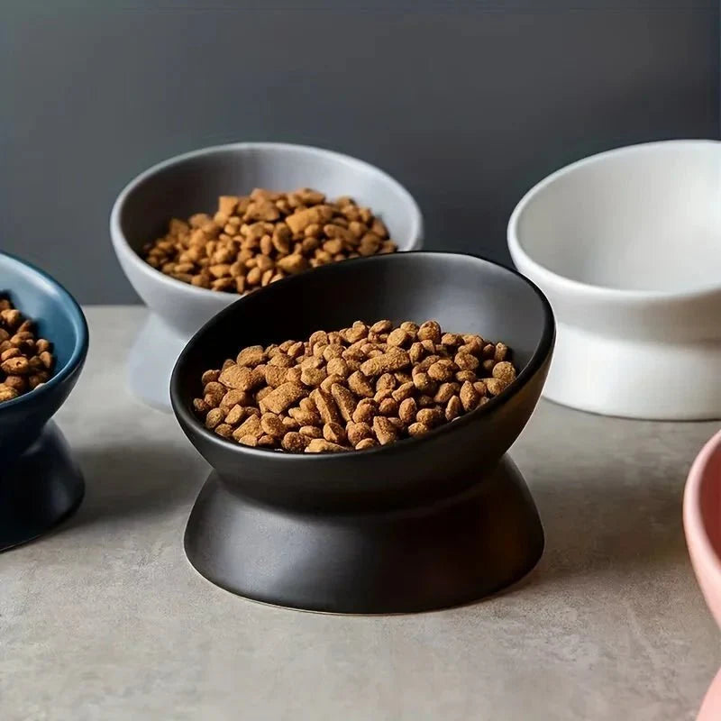 Dailypets Elevated Ceramic Pet Bowl with Angled Stand for Comfortable Everyday Feeding