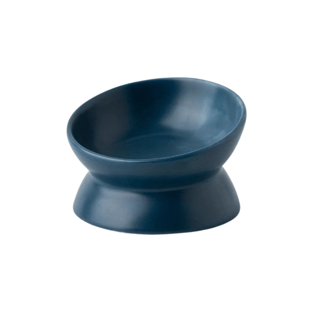 Dailypets Elevated Ceramic Pet Bowl with Angled Stand for Comfortable Everyday Feeding