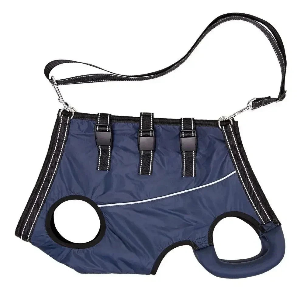 Dailypets Adjustable Dog Support Sling for Comfortable Mobility and Everyday Assistance