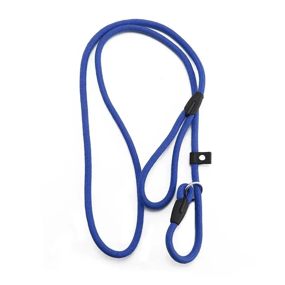 Dailypets Lightweight Nylon Slip Lead for Dog Training & Everyday Walks