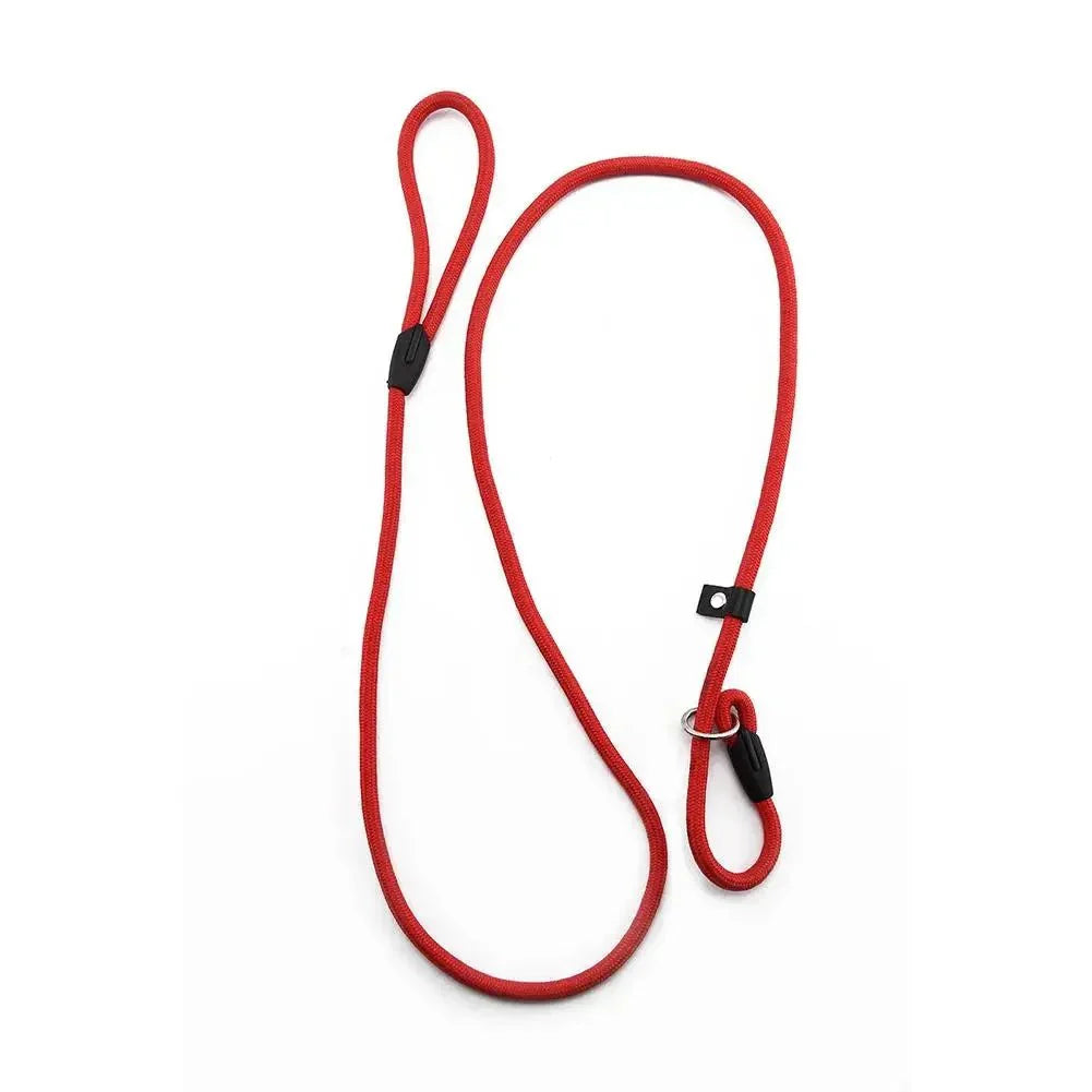 Dailypets Lightweight Nylon Slip Lead for Dog Training & Everyday Walks