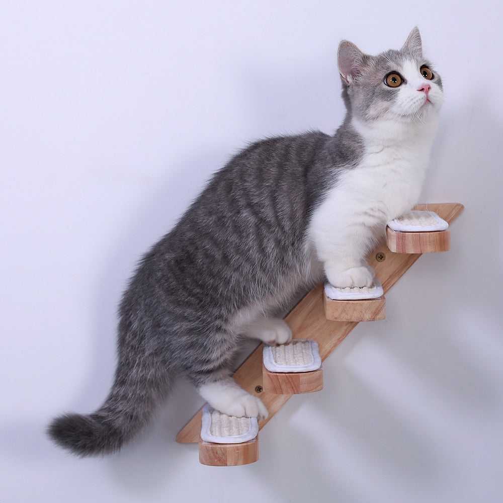 Dailypets Cat Wall Playground – Wooden Climbing Ladder for Cats