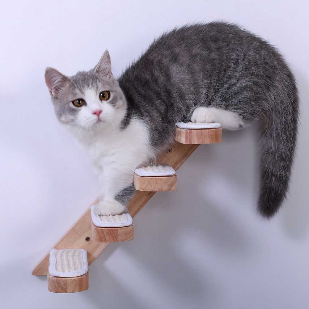 Dailypets Cat Wall Playground – Wooden Climbing Ladder for Cats