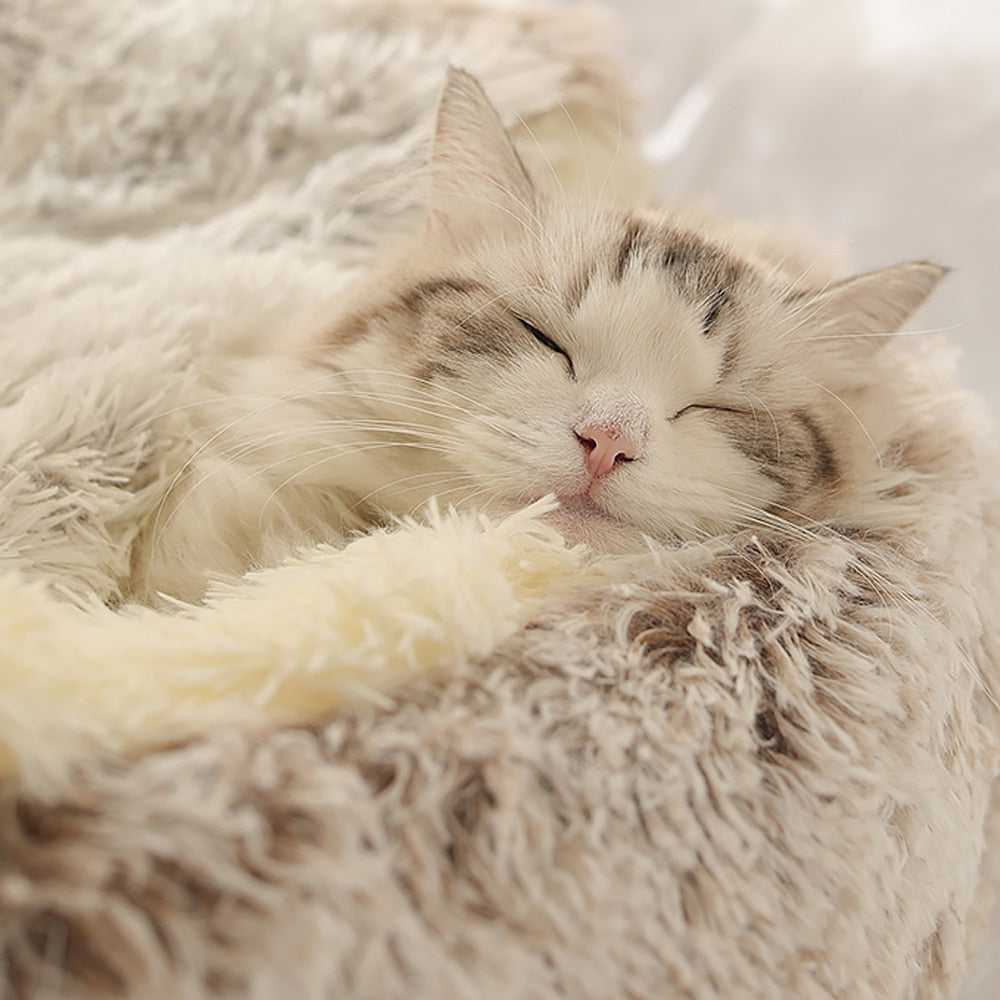 Dailypets Semi-Enclosed Cat Cave – Ultra-Soft Plush Sleeping Bed