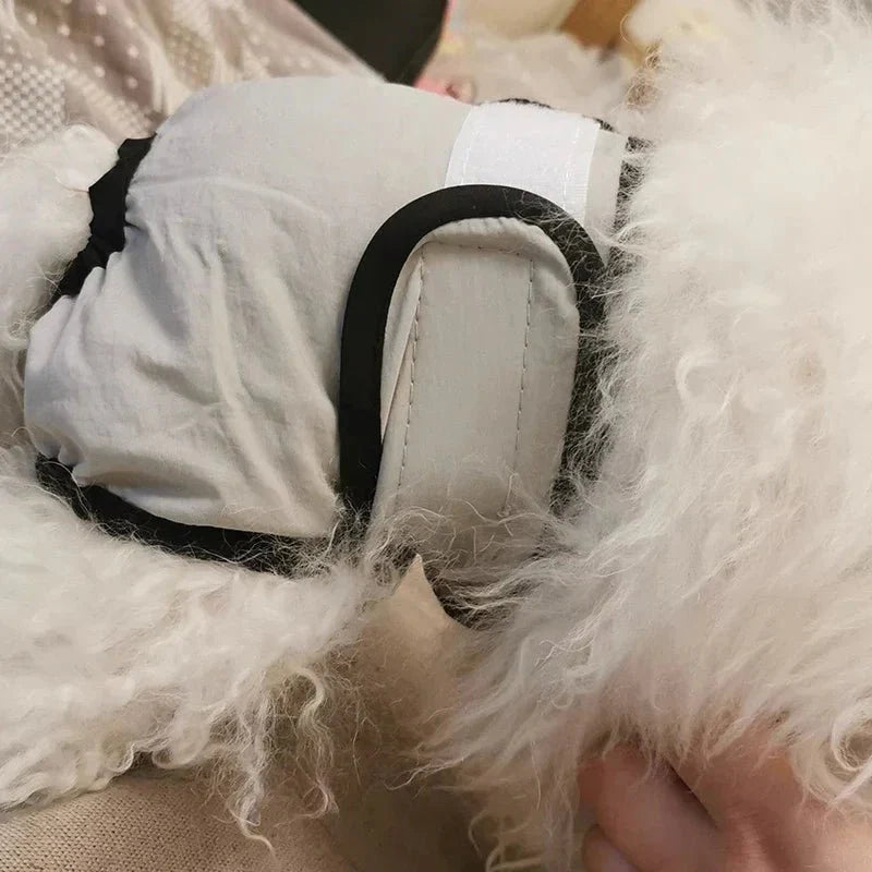 Dailypets Washable Female Dog Diaper with Adjustable Fit for Everyday Protection Daily