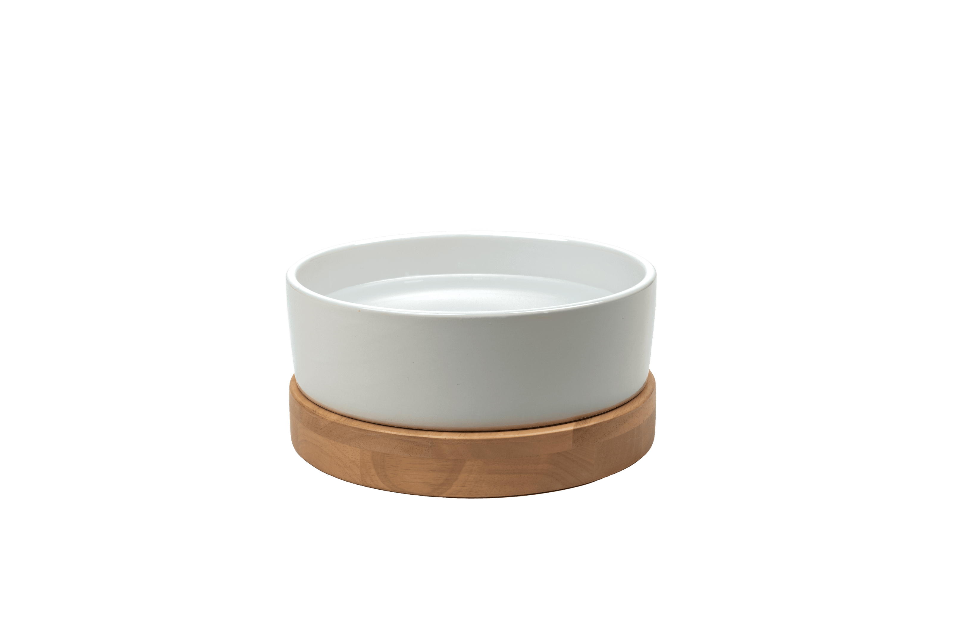 Dailypets Premium Pet Bowl, Water Bowl with Mid-Century Base