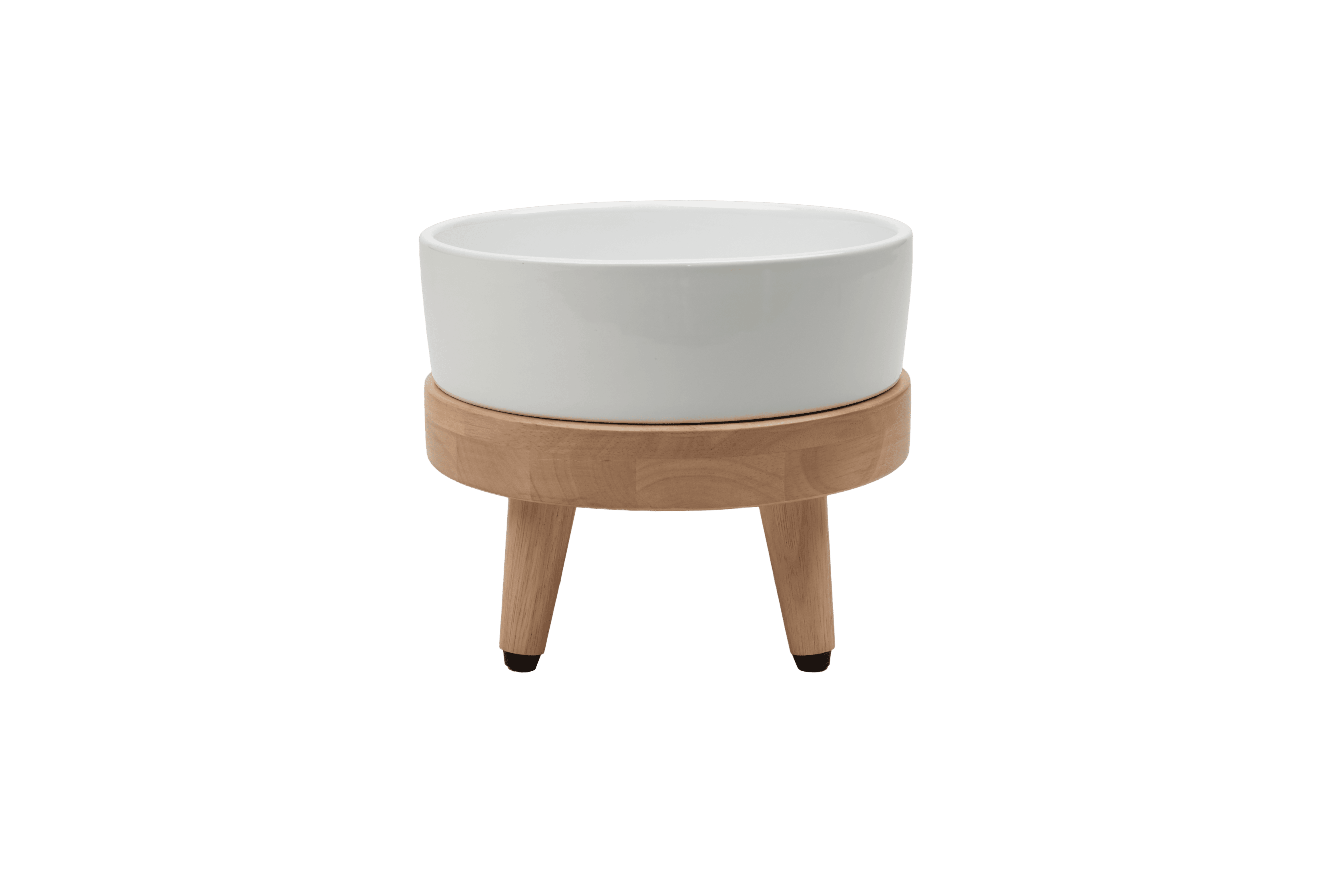 Dailypets Premium Pet Bowl, Water Bowl with Mid-Century Base
