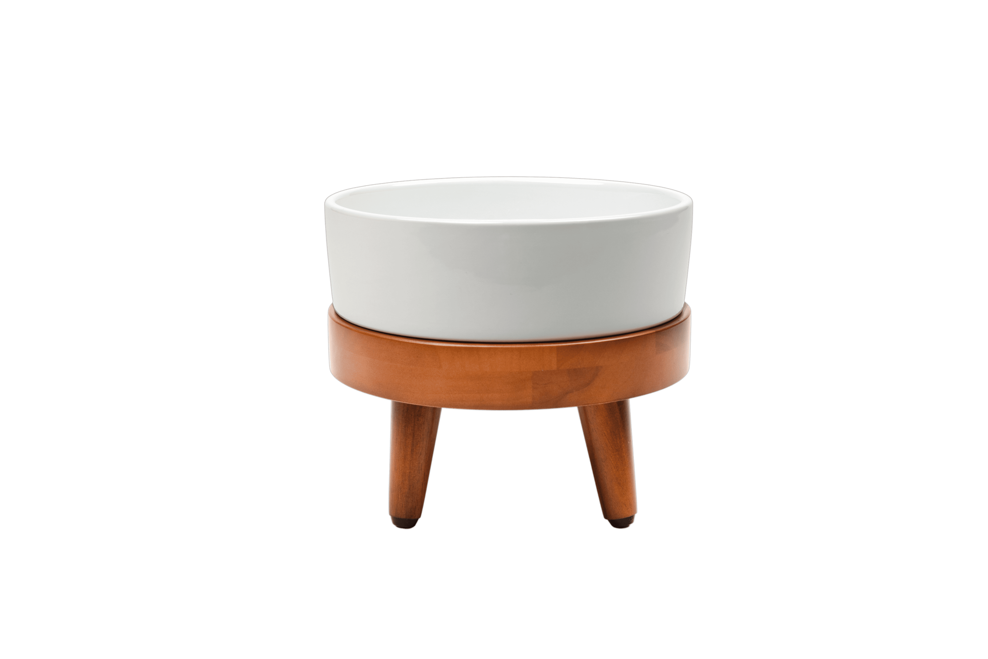 Dailypets Premium Pet Bowl, Water Bowl with Mid-Century Base