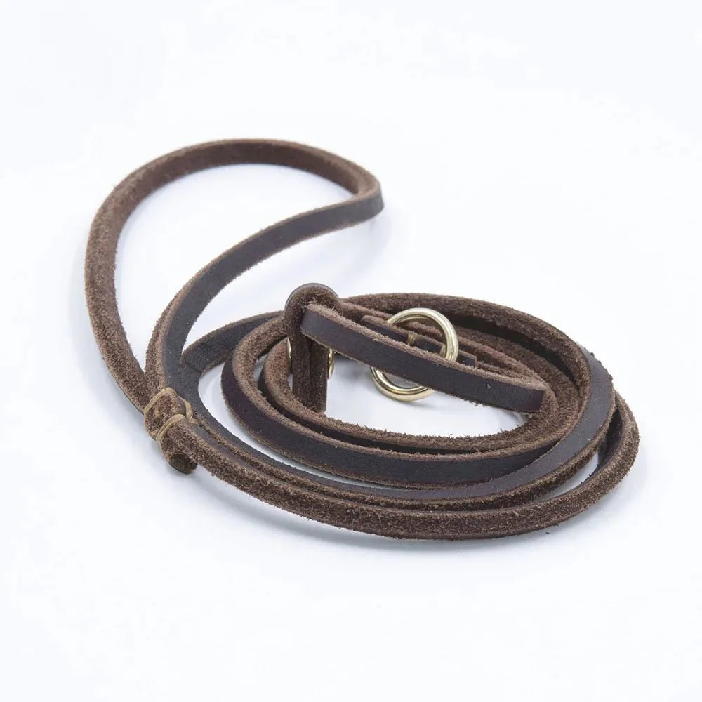 Dailypets Soft Leather Slip Lead for Dogs with Adjustable All-in-One Lead & Collar