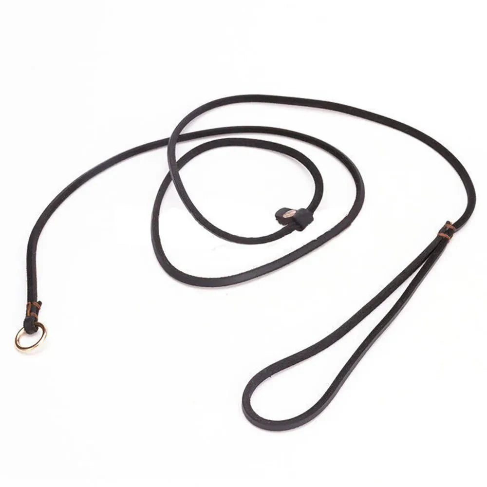 Dailypets Soft Leather Slip Lead for Dogs with Adjustable All-in-One Lead & Collar