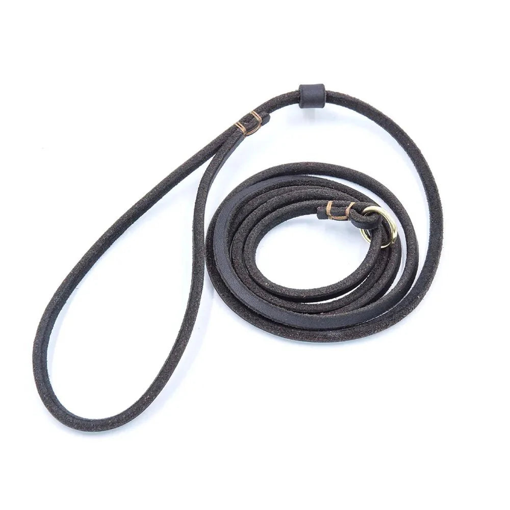 Dailypets Soft Leather Slip Lead for Dogs with Adjustable All-in-One Lead & Collar
