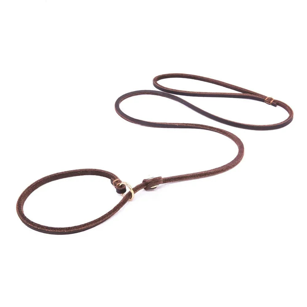 Dailypets Soft Leather Slip Lead for Dogs with Adjustable All-in-One Lead & Collar