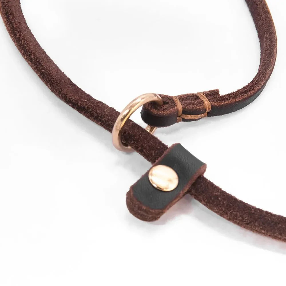 Dailypets Soft Leather Slip Lead for Dogs with Adjustable All-in-One Lead & Collar